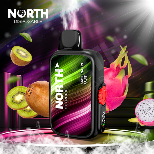 North FT12000 15ML 12000 Puffs Disposable - Kiwi Dragon Fruit – North ...