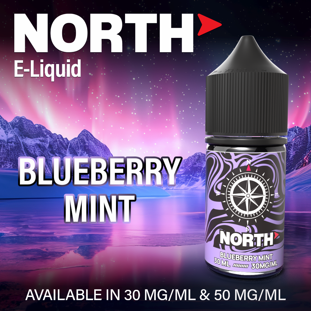 North Nicotine Salt E-Liquid 30ML - Blueberry Mint